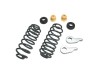 BT Lowering Kit w/o Shocks