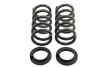 BT Pro Coil Spring Set