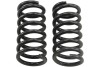 BT Coil Spring Set