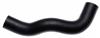 GAT Coolant Hose