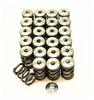 809fc606-0577-4839-a181-6da846e834bd-100 GSC Valve Spring Kits