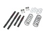 BT Lowering Kit w ND2 Shocks