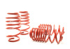 HR Race Springs