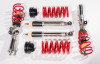 86ea6eb80d73237a10a4a3a386438117 RSH Coilovers