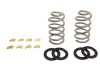 BT Pro Coil Spring Set