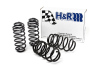 HR Sport Springs
