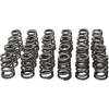 MAN Valve Spring Kits