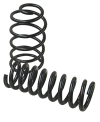 SPC Lowering Springs