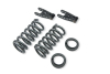 BT Lowering Kit w/o Shocks
