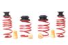 9b0d0724-2e37-46f0-86d8-ed1d736c912f-100 HR VTF Adj Lowering Springs