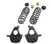 a35208ac039e5384d3f2477353349fcc BT Lowering Kit w/o Shocks