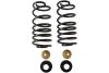 BT Pro Coil Spring Set