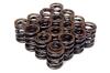 BX Valve Springs