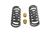 b05fac5abce66a0d603fd563a8f5ea93 BT Coil Spring Set