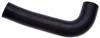 GAT Coolant Hose