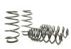 HR Sport Springs
