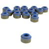 CCA Valve Seals