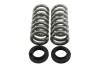 BT Pro Coil Spring Set