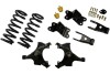 c1f99977c15ed017cdd95afaf36bcaf7 BT Lowering Kit w/o Shocks