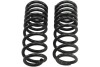 c2ec6081e4c6a0cf2a488fb99dd5fca3 BT Coil Spring Set
