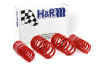 HR Race Springs