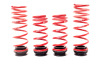 cbe5386e674bc242bc7de544b0dfd6d4 HR VTF Adj Lowering Springs