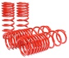 SK Lowering Springs