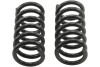 d76437dfb6a5b1c7c6b698f665d6f931 BT Coil Spring Set