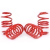 SK Lowering Springs