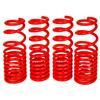 d8ed2321-31ce-4dcc-b54f-1cc2ca307865-100 BX Lowering Springs