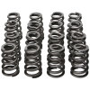 d9a755f81c6a4553e20b745ec741f905 MAN Valve Spring Kits