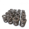 SK Tuner Valve Springs