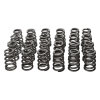 MAN Valve Spring Kits