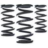 e4846af8ab42ae5ce60b278f14bb638a-115 AST Linear Race Springs
