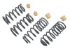 e56e91b8899656772aa8fdcd51330926 BT Lowering Kit w/o Shocks