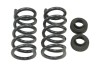 e67d557a68d0bf780d7638e165fb6fcc BT Coil Spring Set