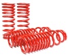 SK Lowering Springs
