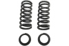 f762528441bc20c49f8d917c1c2f300b BT Coil Spring Set