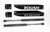 RSH Hood Strut Kits