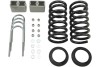 ff57770754b4dc9cf308c450c89deb0d BT Lowering Kit w/o Shocks