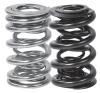 group-363b9d0a-026d-423d-b1c7-4c74cc9039af-100 MAN Valve Spring Kits