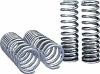 STS Muscle Car Springs