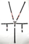 RQP 5pt Camlock Seat Belts