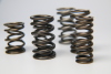 FER Valve Springs - Sets