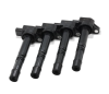 BX Ignition Coils