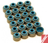 GSC Valve Stem Seal Sets