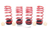 HR VTF Adj Lowering Springs