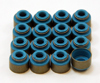 GSC Valve Stem Seal Sets