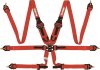 RQP 6pt Camlock Harnesses