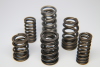 FER Valve Springs - Sets